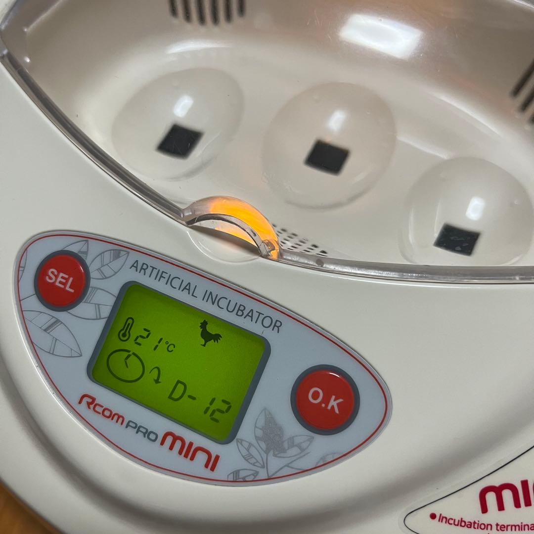 リトルママ小型人工孵卵器Rcom mini（PX-03）