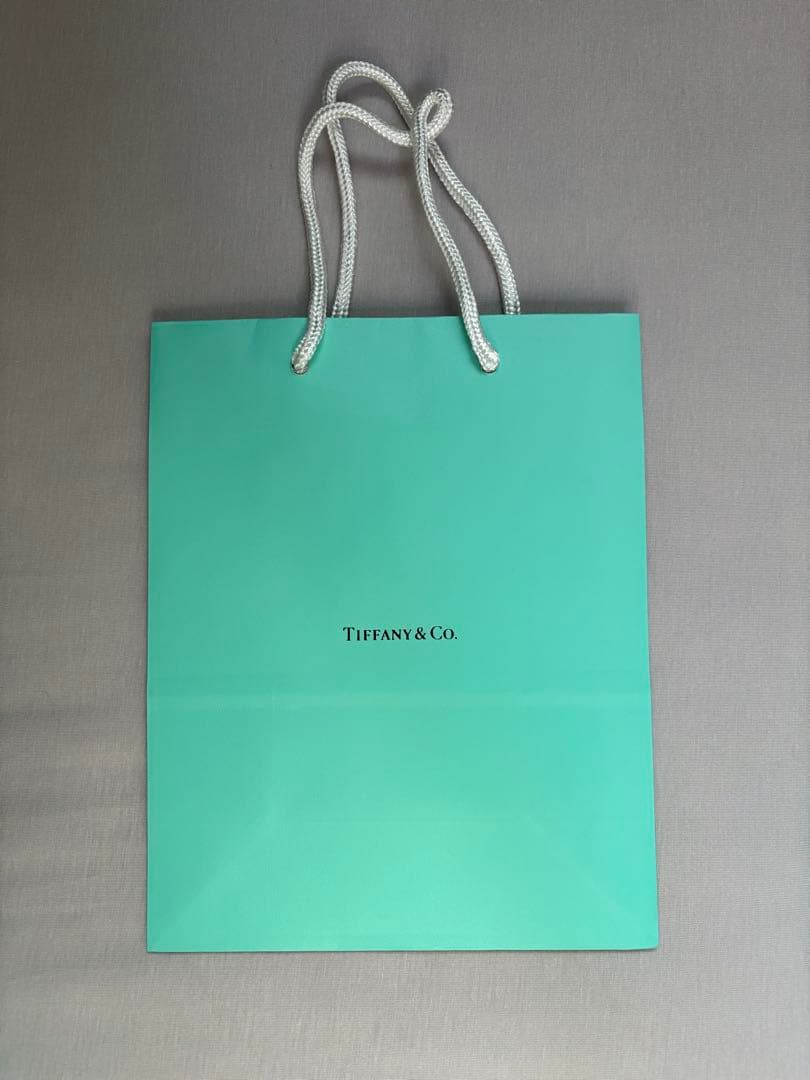 ✴︎新品未使用✴︎Tiffany ブルーボウデザートプレート 2枚　ティファニー