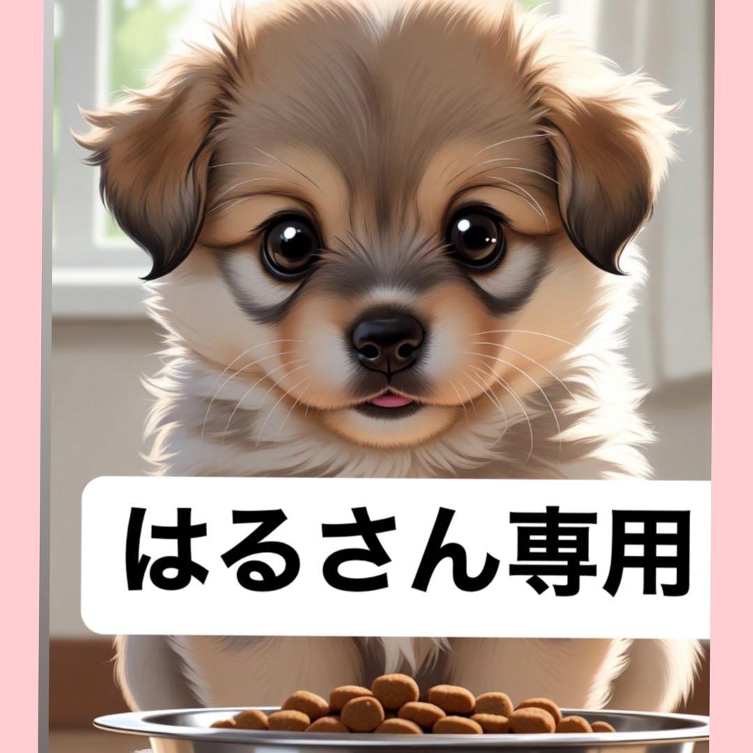 はるさん専用