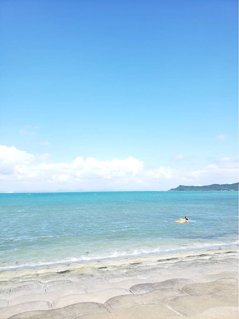 みゆき　doona Fabric