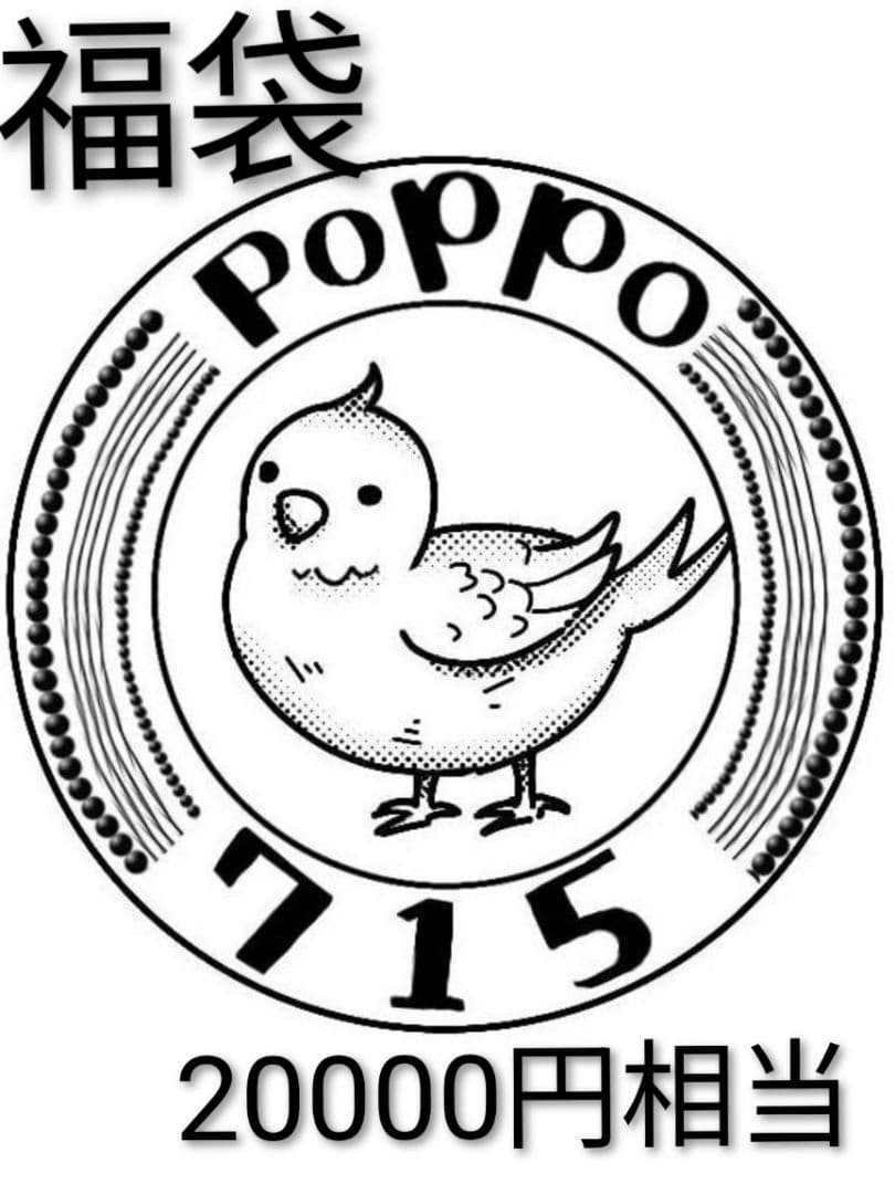 中身がわかる　poppo715福袋（20000円相当）　1/12　布服　④