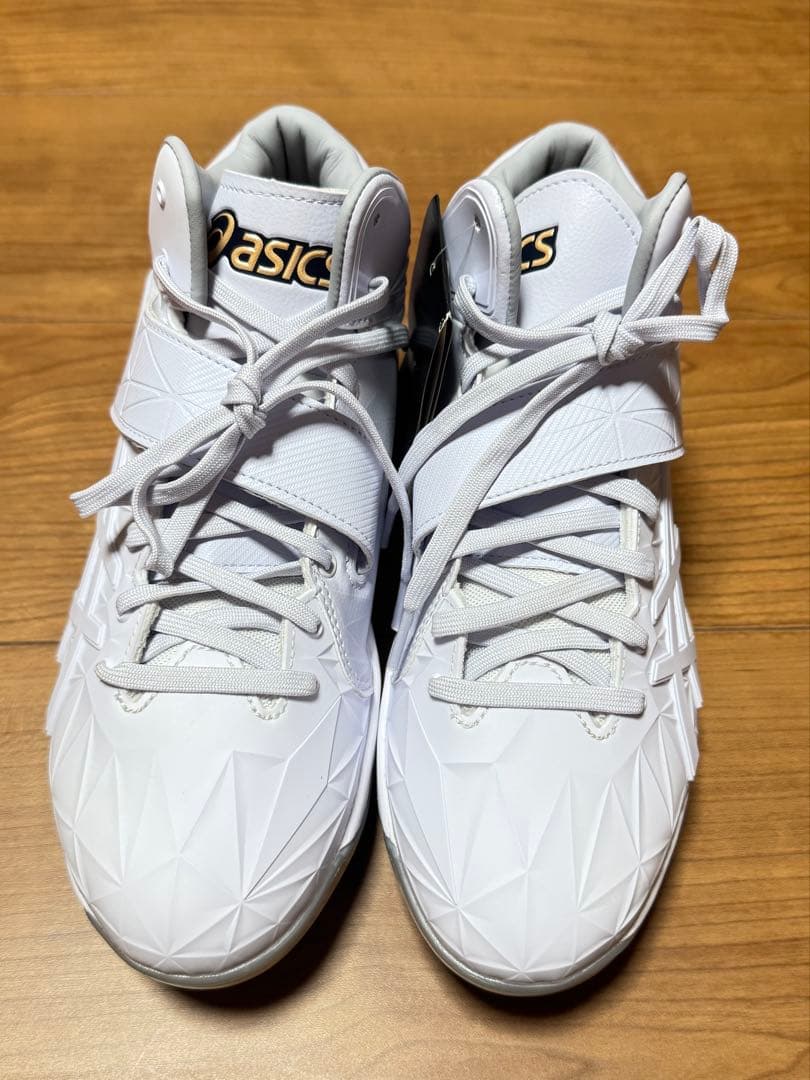 【 25.0 cm 】GOLDSTAGE I-PRO SETDO asics