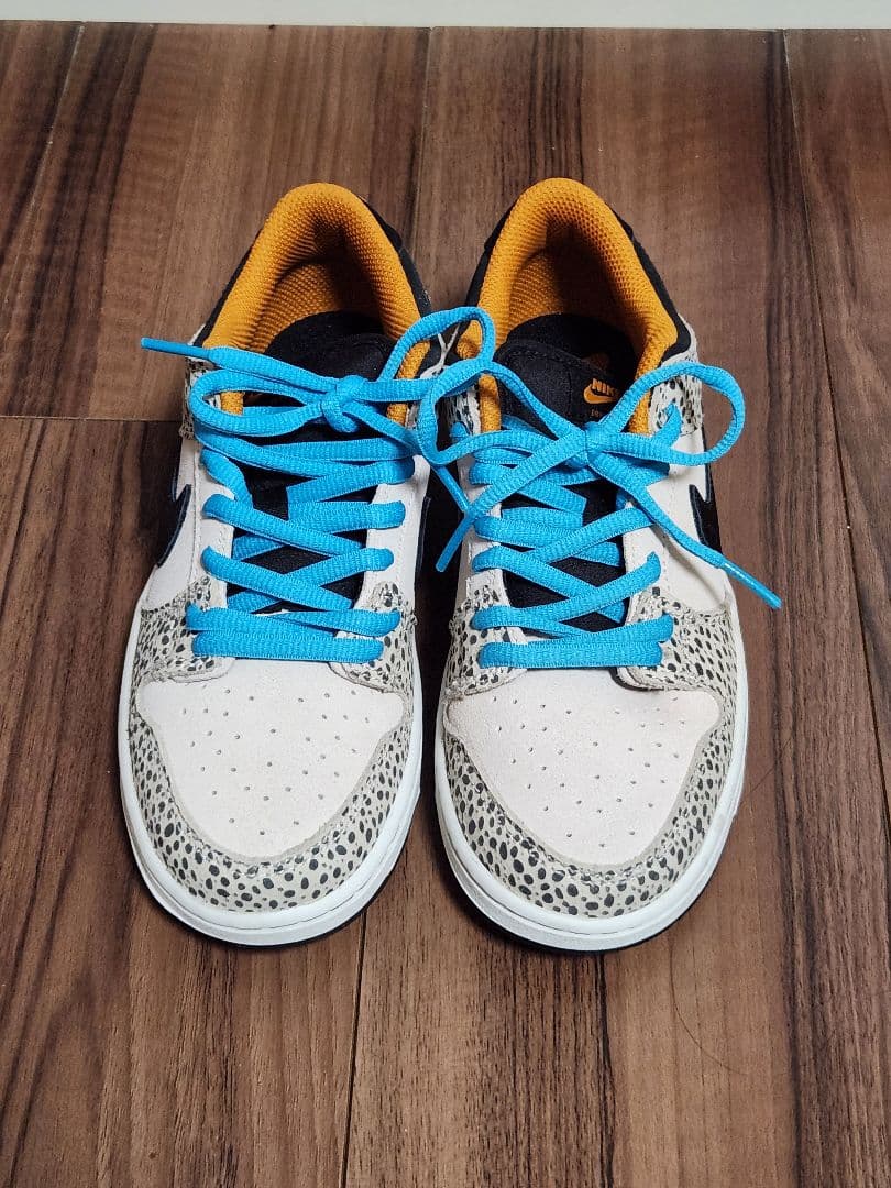 靴 Nike SB DUNK LOW PRO 22cm