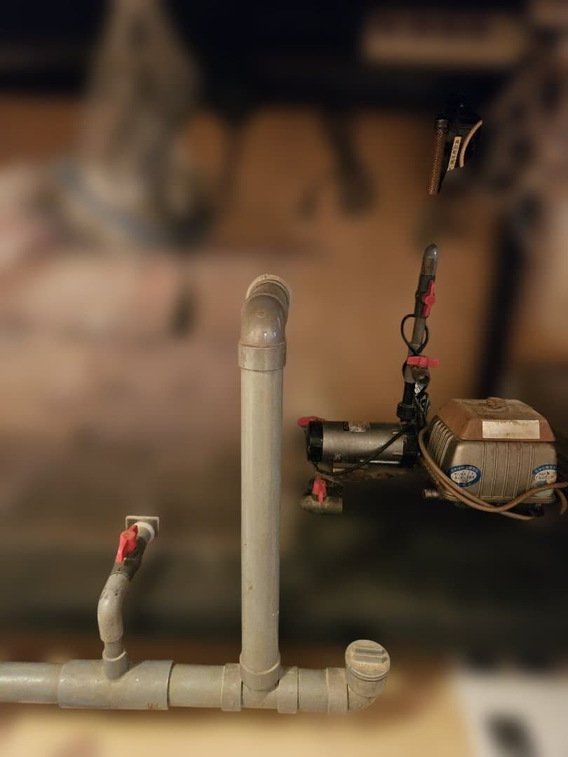 大型オーバーフロー水槽