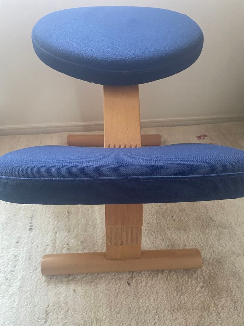 2*7様 サカモトハウス バランスチェア バランスイージー