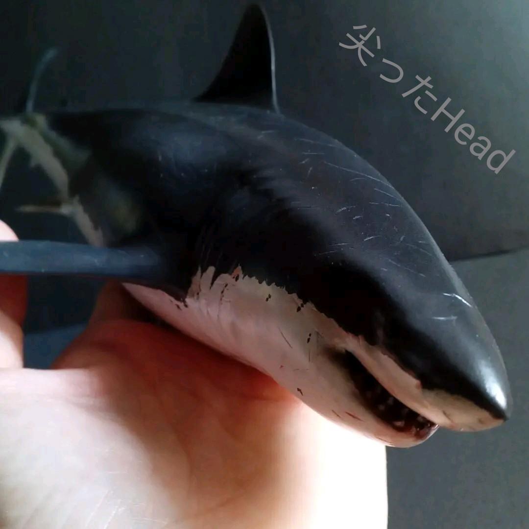 サメ　模型　ホホジロザメ　超絶モデル