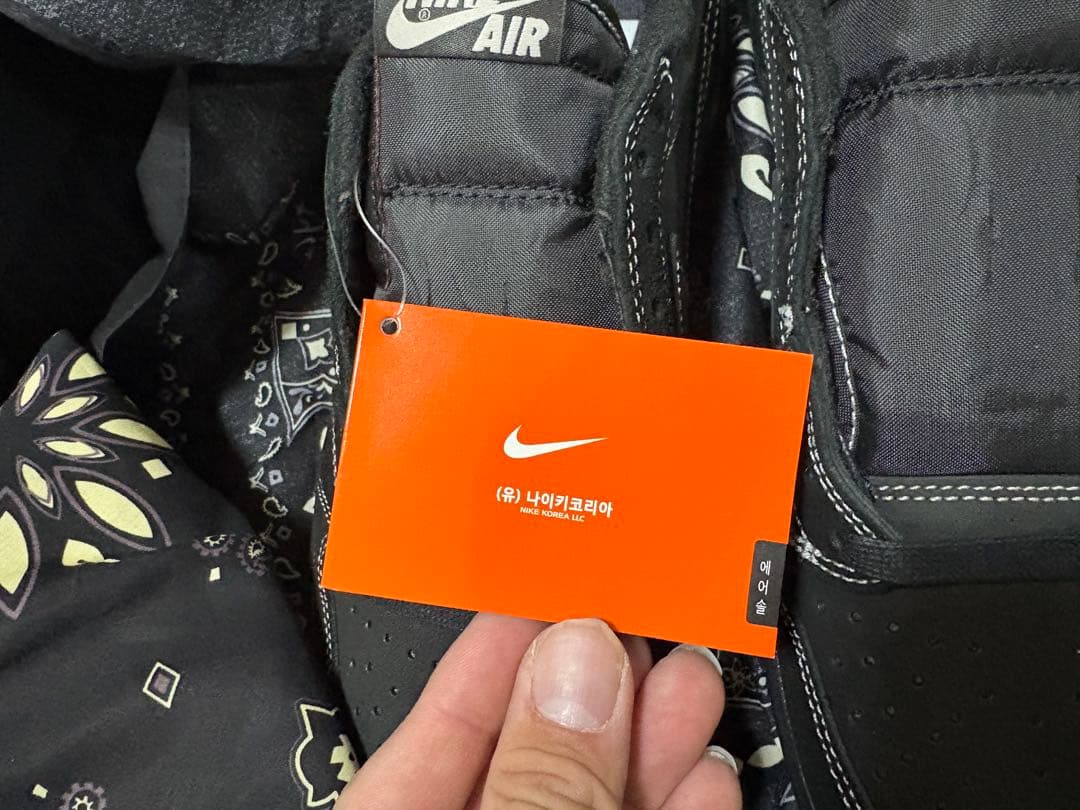 エアジョーダン1 Travis