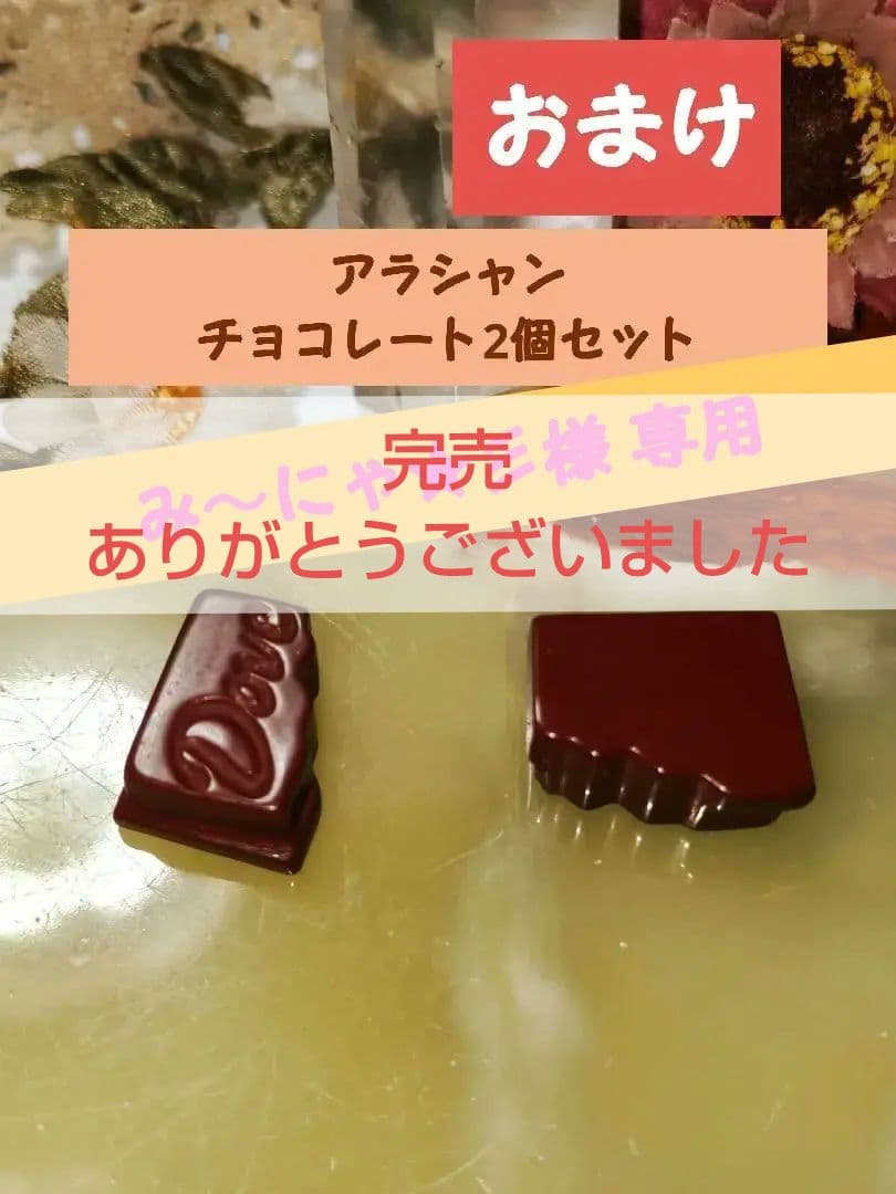 可愛い 合計12000円 アラシャン チョコレート 2つ プレゼント❣️