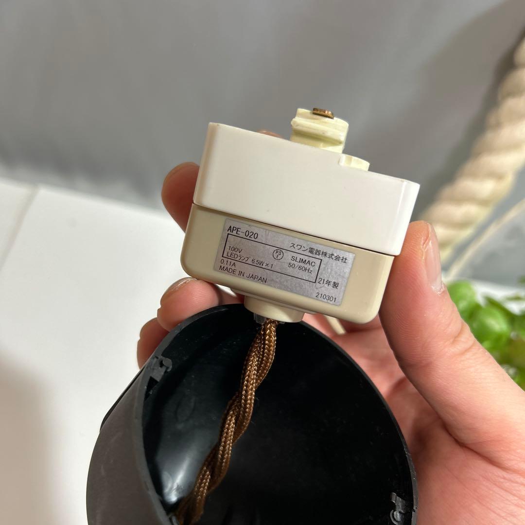 スワン電気 ボタニック ハンギングライト ペンダントライト ガラス ロープ