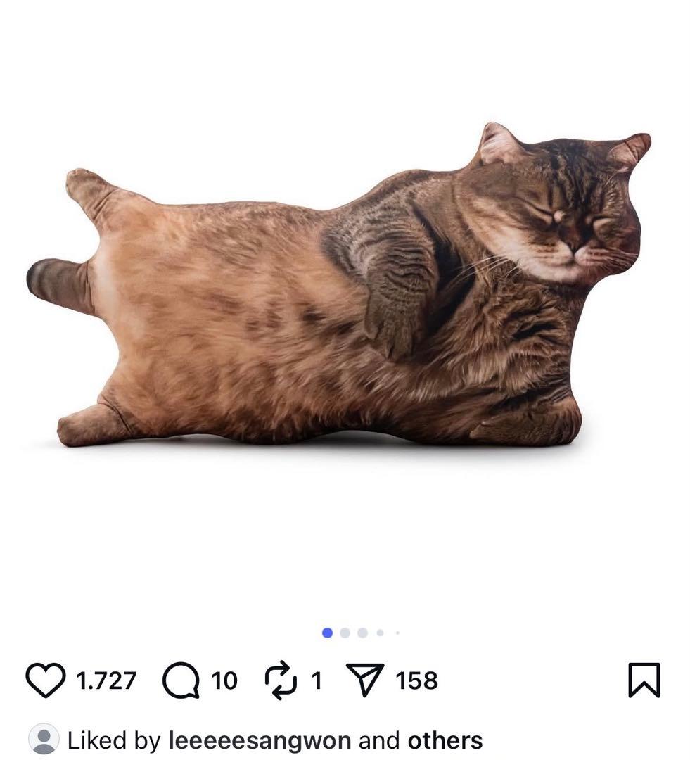 ALD1 サンウォン 猫 クッション