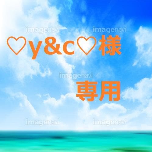 専用【６点】【E95/4L】ブラ・ショーツセット★51111031