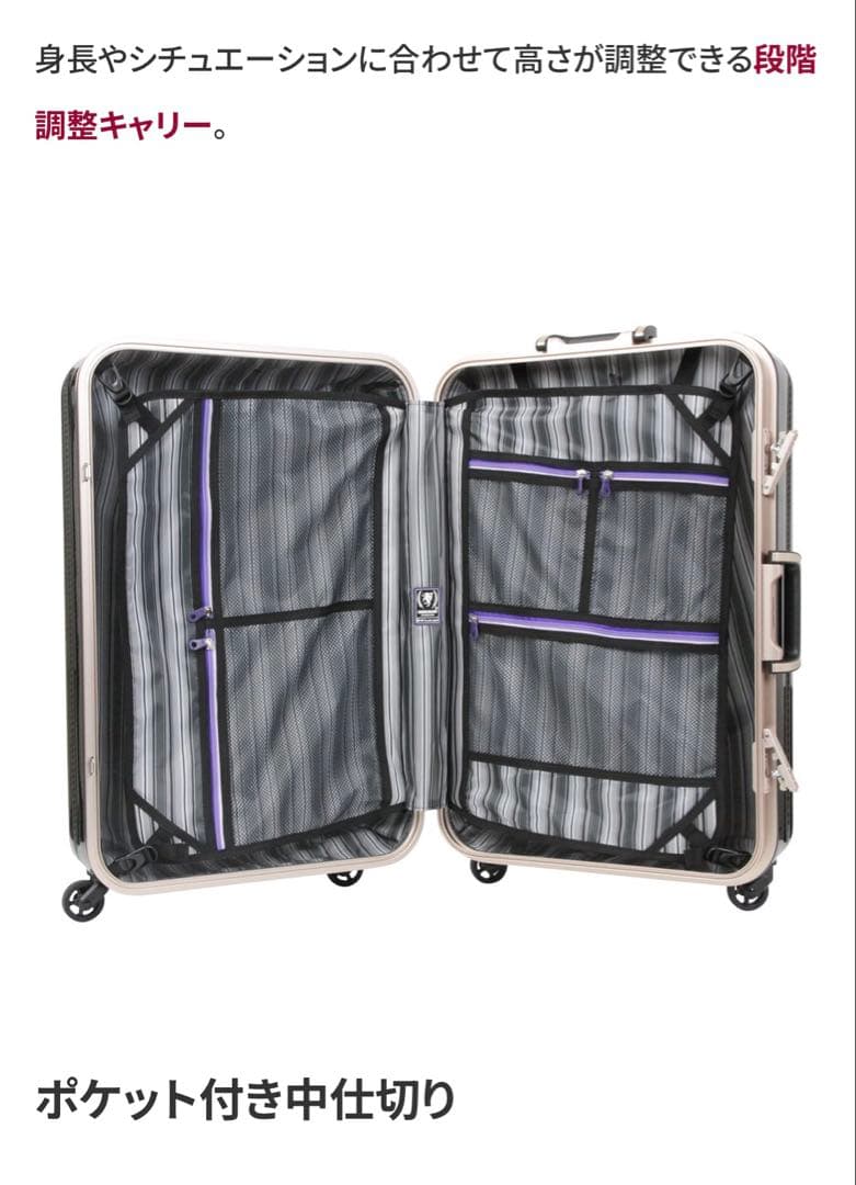 レジェンドウォーカー　ラフカーボンホワイトゴールド キャリーケース90ℓ
