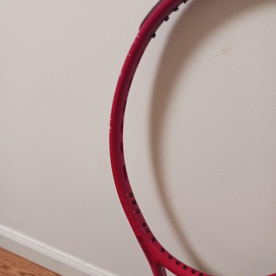 Prince BEAST100 300 2本セット