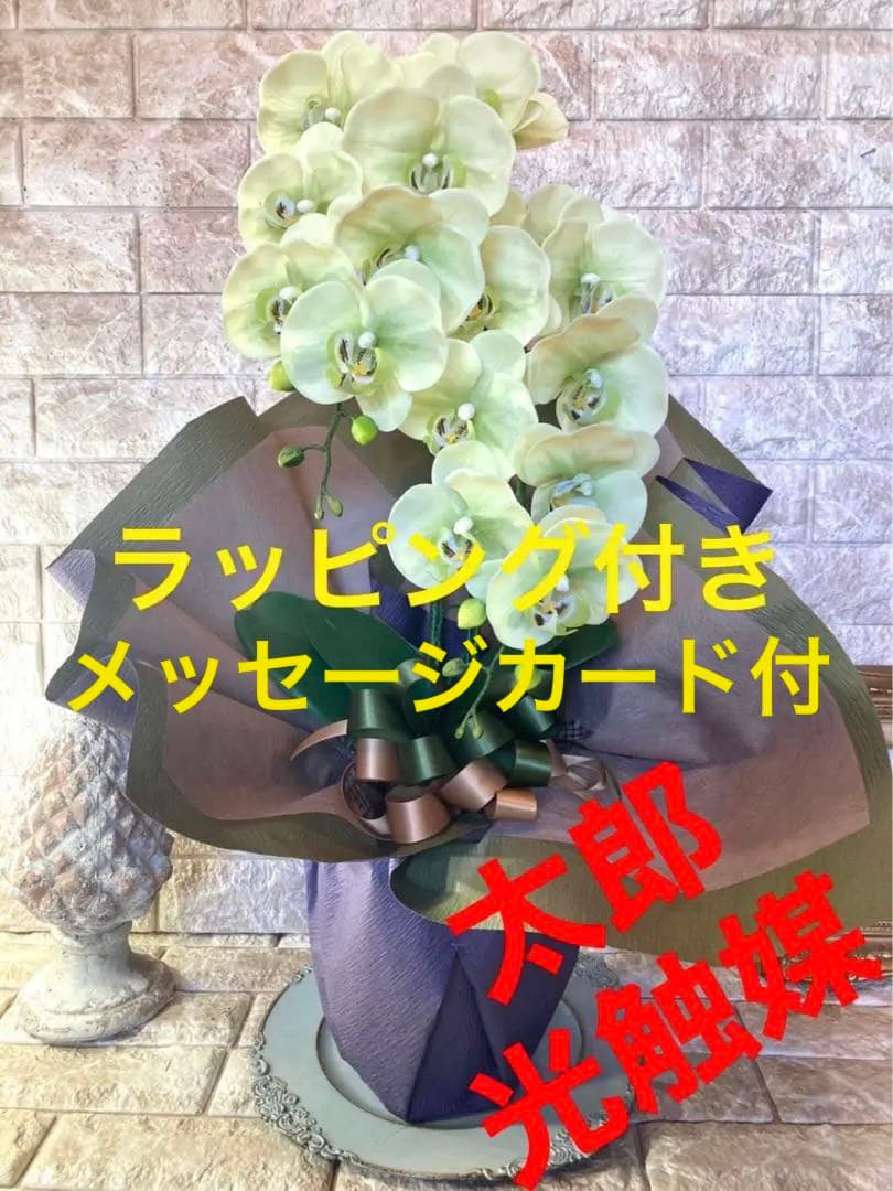 光触媒　人工観葉植物　ウォールグリーン　フェイクグリーン　リアル胡蝶蘭70gg