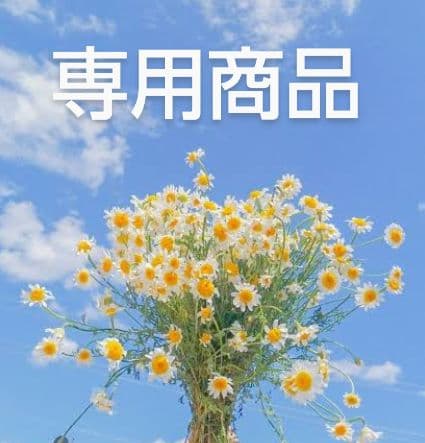 【専用】ふら商品