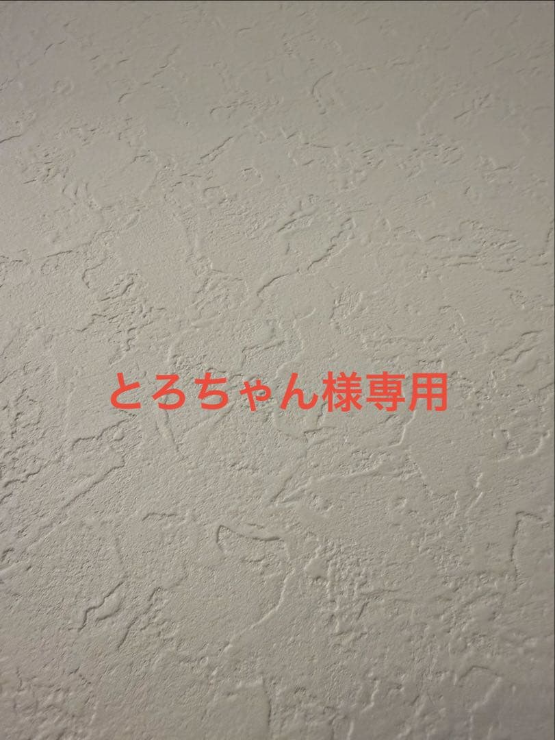 【とろちゃん】