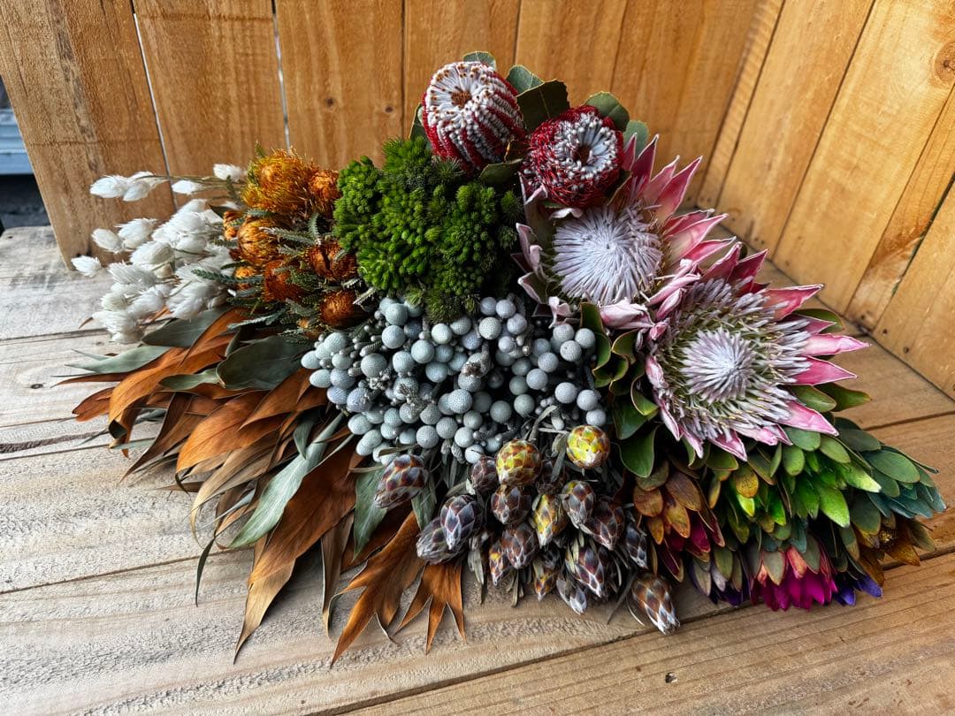 ✨9種MIX【Ｂ】ネイティブ　プロテア　グレビリア バンクシア　スワッグ　生花