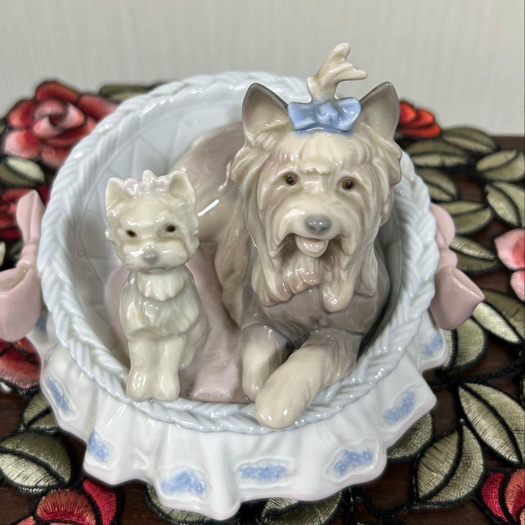 【ラブ自己紹介を見て下さいね♡】リヤドロ　犬「ここが好き」