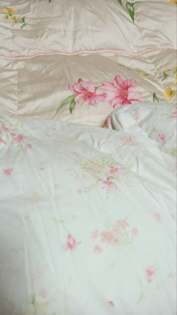 シミ有り　丸八真綿　羽毛掛け布団　ソワリー　羽毛　グース　値引き交渉ブロック