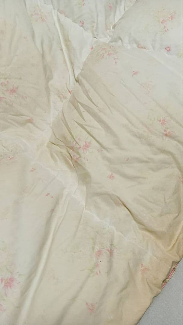 シミ有り　丸八真綿　羽毛掛け布団　ソワリー　羽毛　グース　値引き交渉ブロック