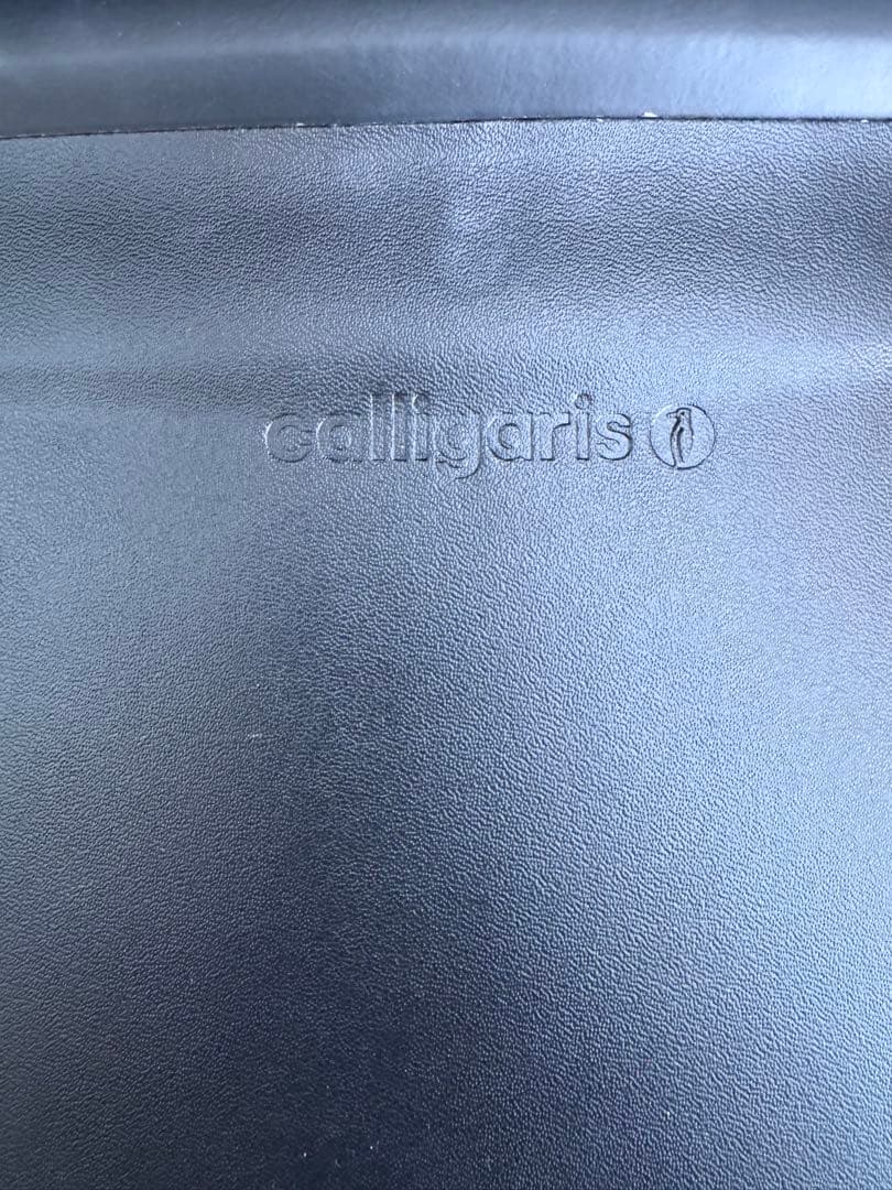 カリガリス AIDA 2脚セット 黒 Calligaris