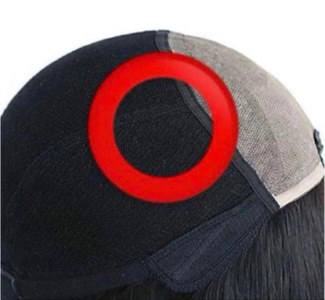 46cm 医療用レミー 人毛100% 総手植え サラサラロングヘア✨