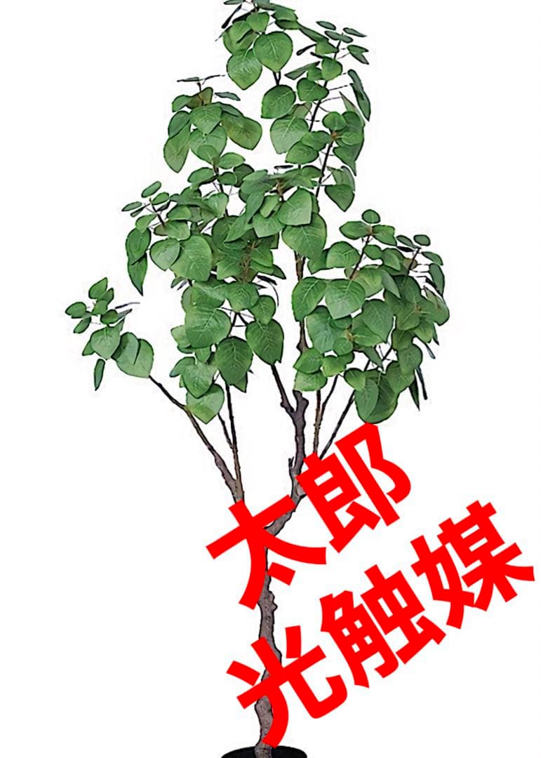 光触媒　人工観葉植物　ウォールグリーン　フェイクグリーン　スモークツリー150