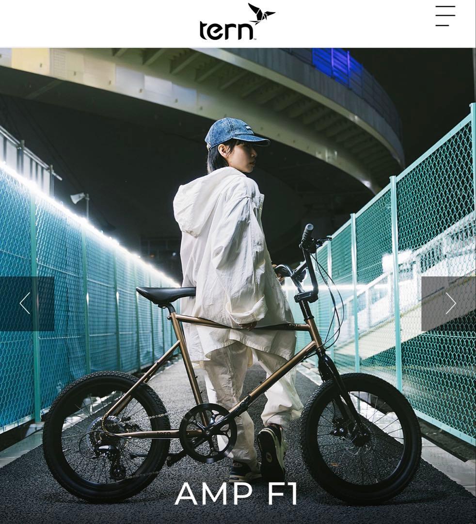 【送料込み】TERN 2023年モデル AMP F1 カスタム