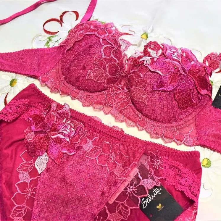 新品・タグ付き☆ワコール☆サルート☆シャンソン☆ＳＧ☆Ｃ６５＆ショーツＭ