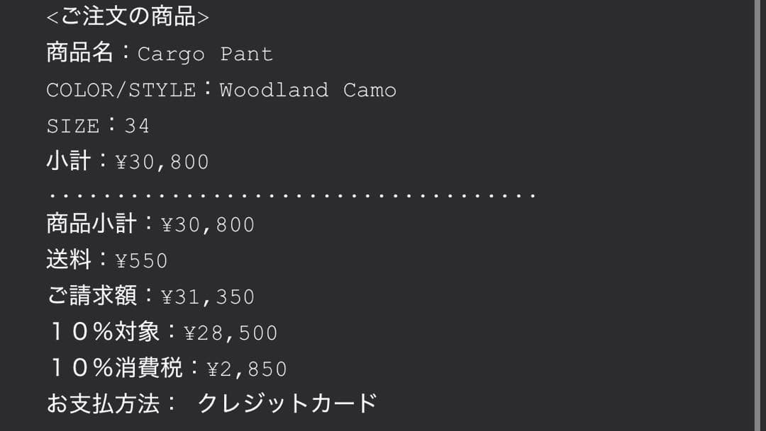 パンツ supreme cargo pants