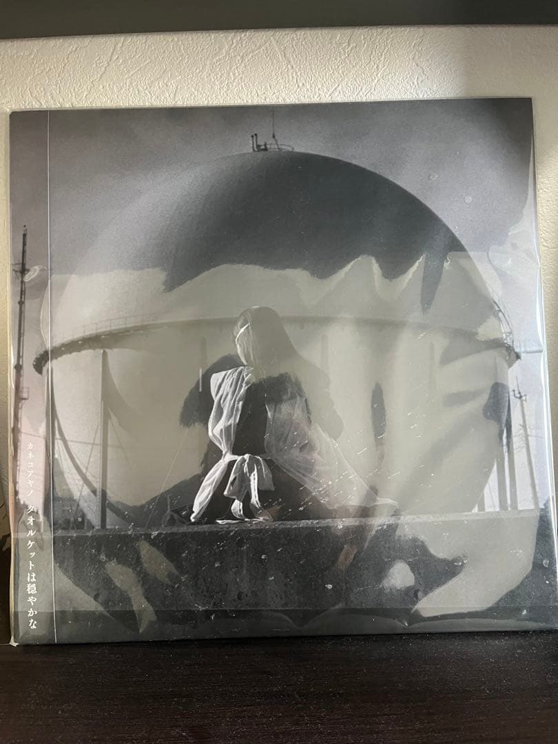 カネコアヤノ タオルケットは穏やかな レコード 新品未開封