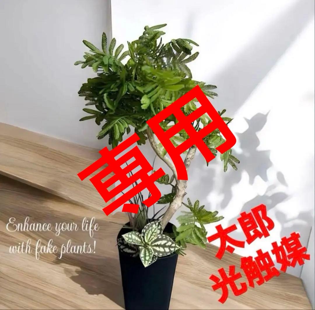 光触媒　人工観葉植物　ウォールグリーン　フェイクグリーン　エバーフレッシュ955