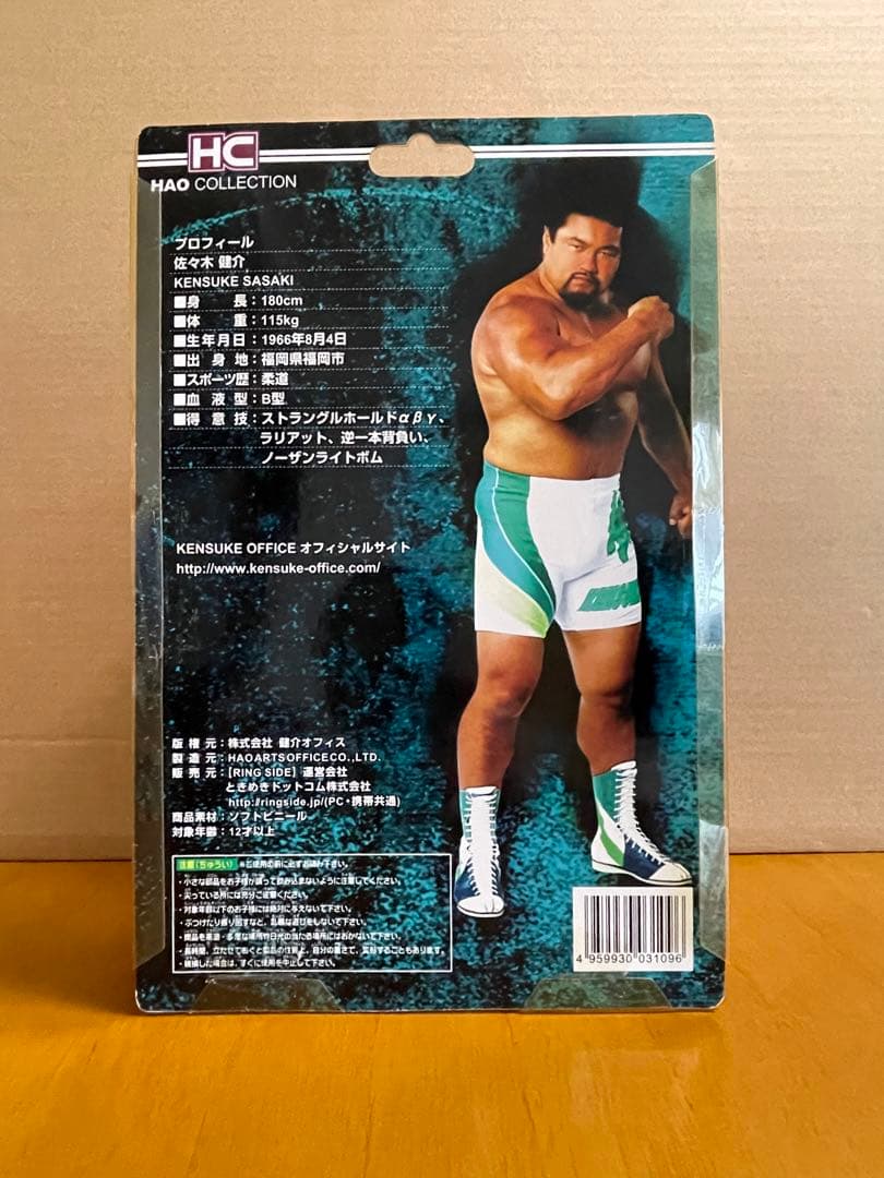 HAO 佐々木健介