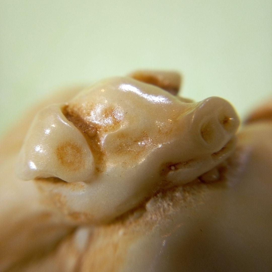 豚の置物　二匹の豚　フィギュア　オブジェ　ディスプレイ　アンティーク　レトロ