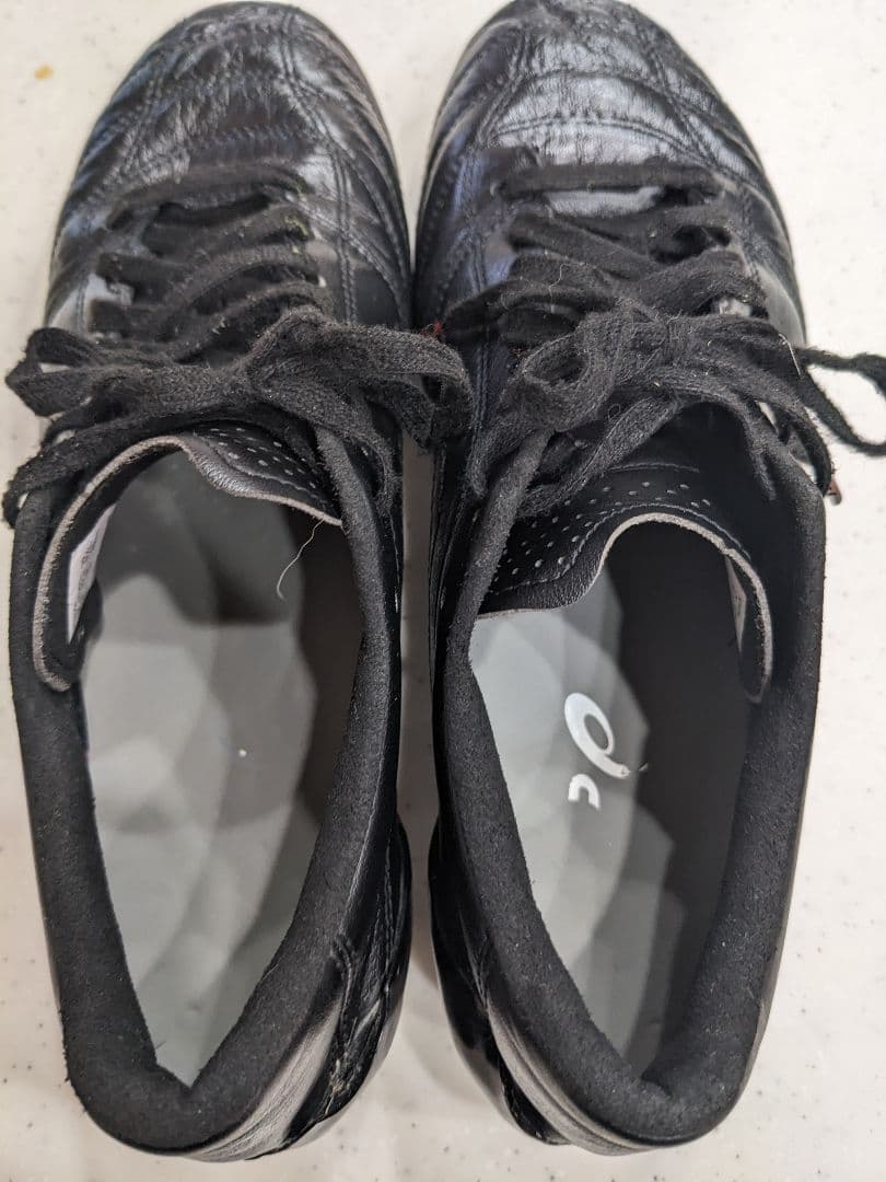 【25.0】asics DSライトx-fly4 JAPANブラック