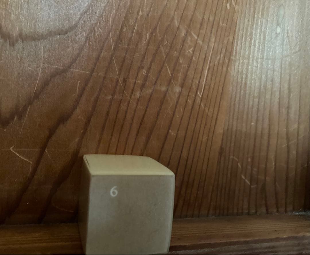 ナカオタカシ ペーパーウェイト