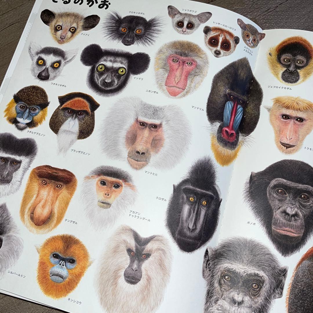 【ふらわー】いきものづくし ものづくし 10巻セット