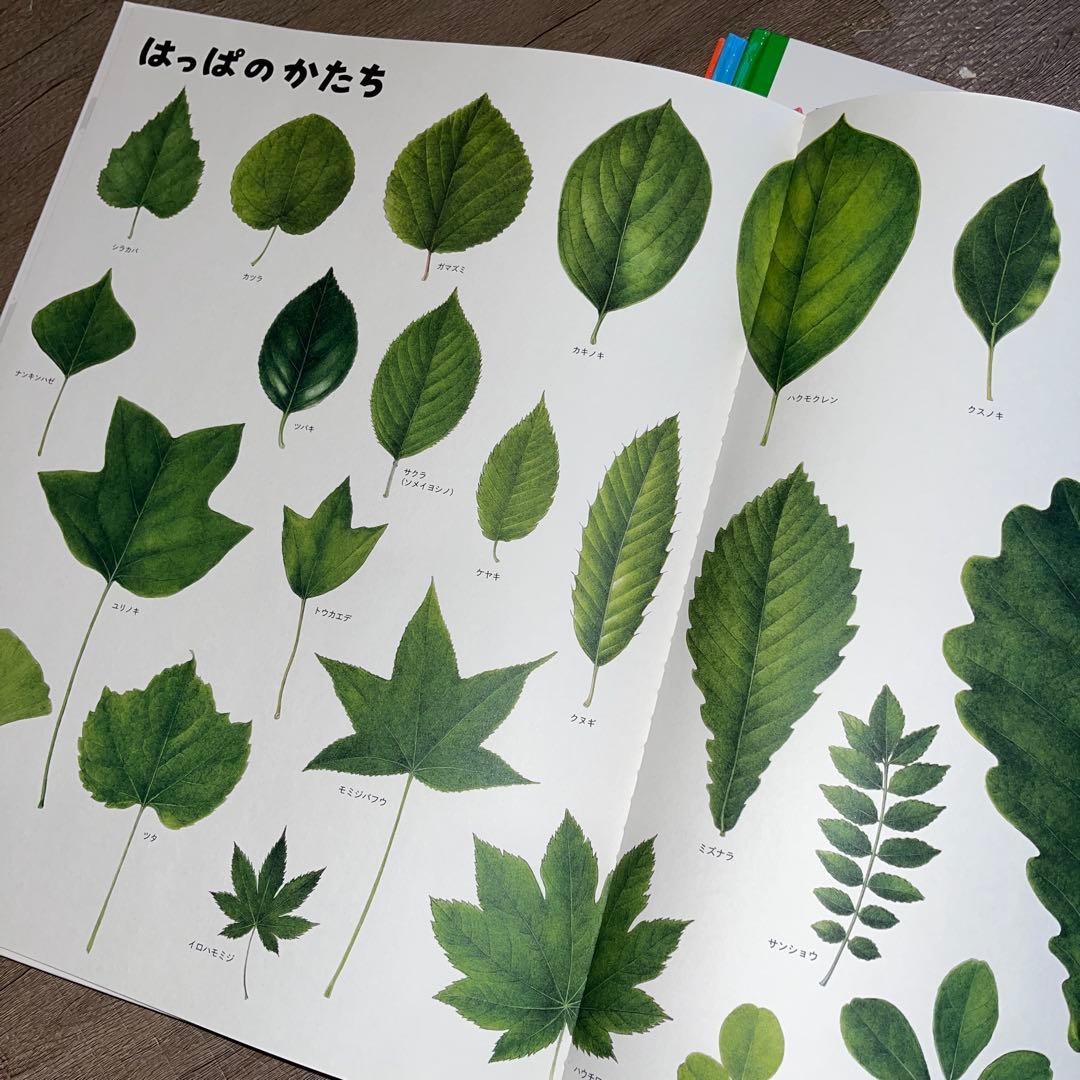 【ふらわー】いきものづくし ものづくし 10巻セット