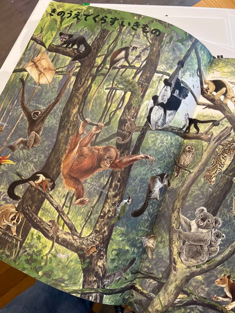 【ふらわー】いきものづくし ものづくし 10巻セット