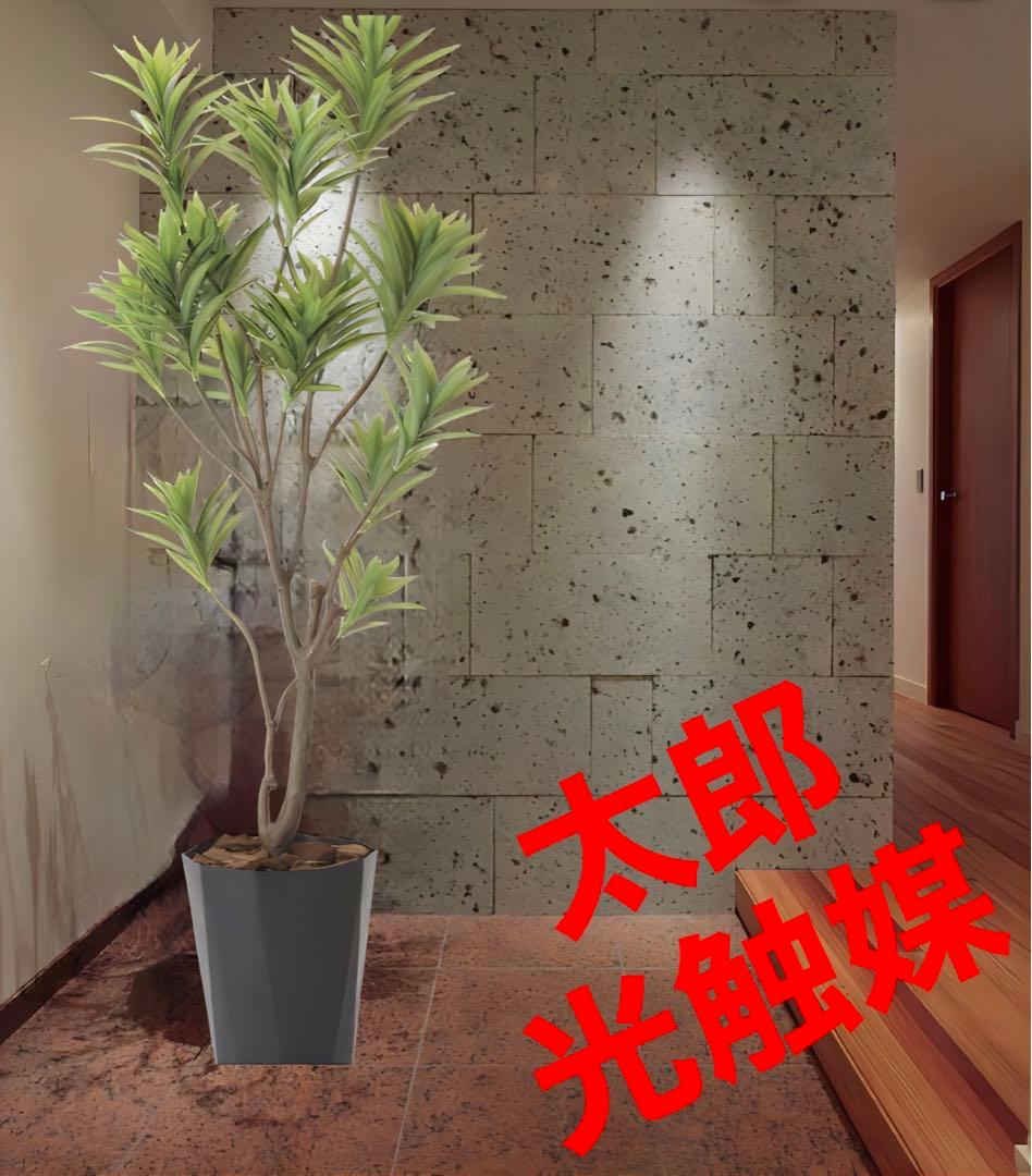 光触媒　人工観葉植物　ウォールグリーン　フレッシュドラセナ1.8