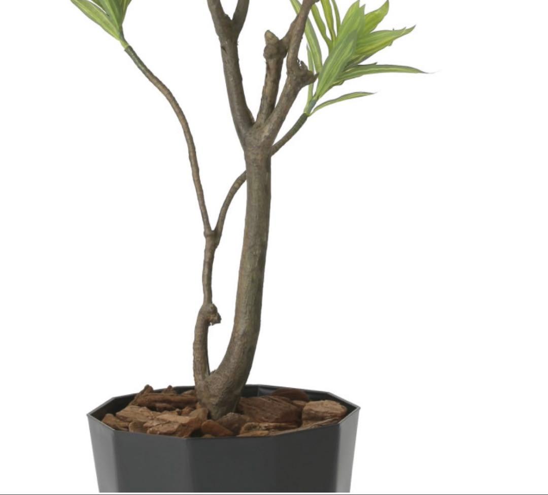 光触媒　人工観葉植物　ウォールグリーン　フレッシュドラセナ1.8