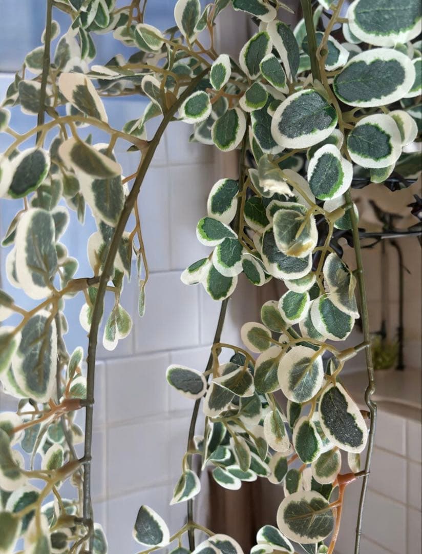 光触媒　人工観葉植物　ウォールグリーン　フェイクグリーン　壁掛けプミラＷ110