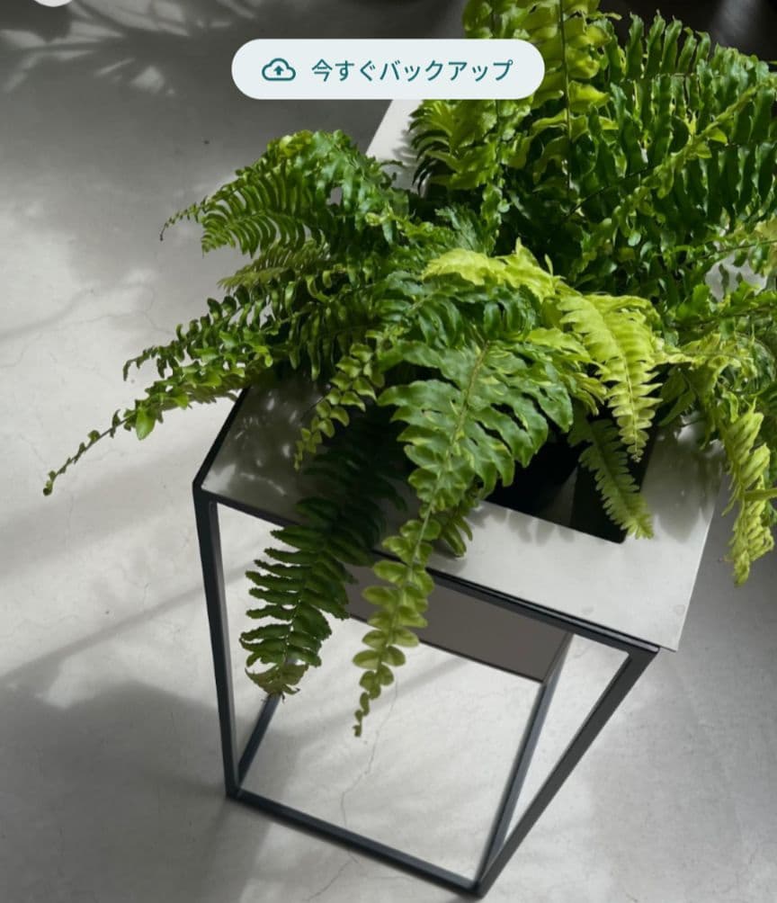 未使用　スタンドポット　グレー＆ブラック