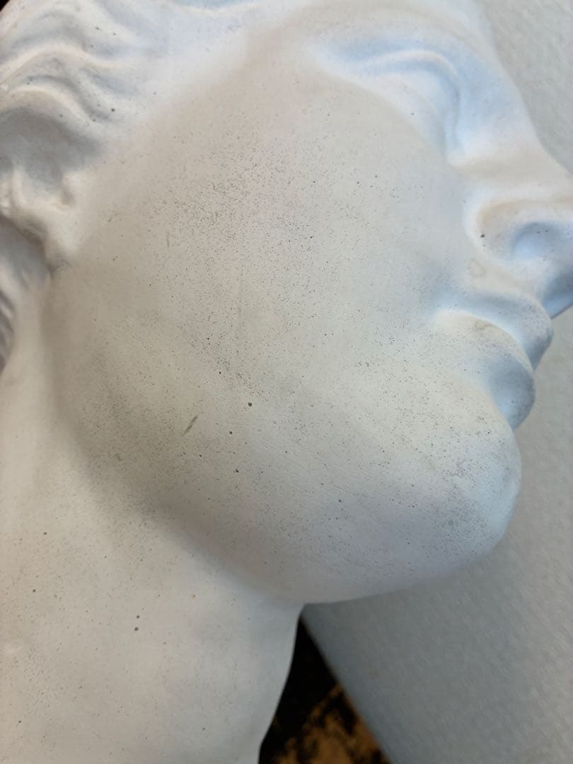 石膏像　ミロのヴィーナス　胸像　オブジェ　置物　美術　デッサン　アート　レトロ