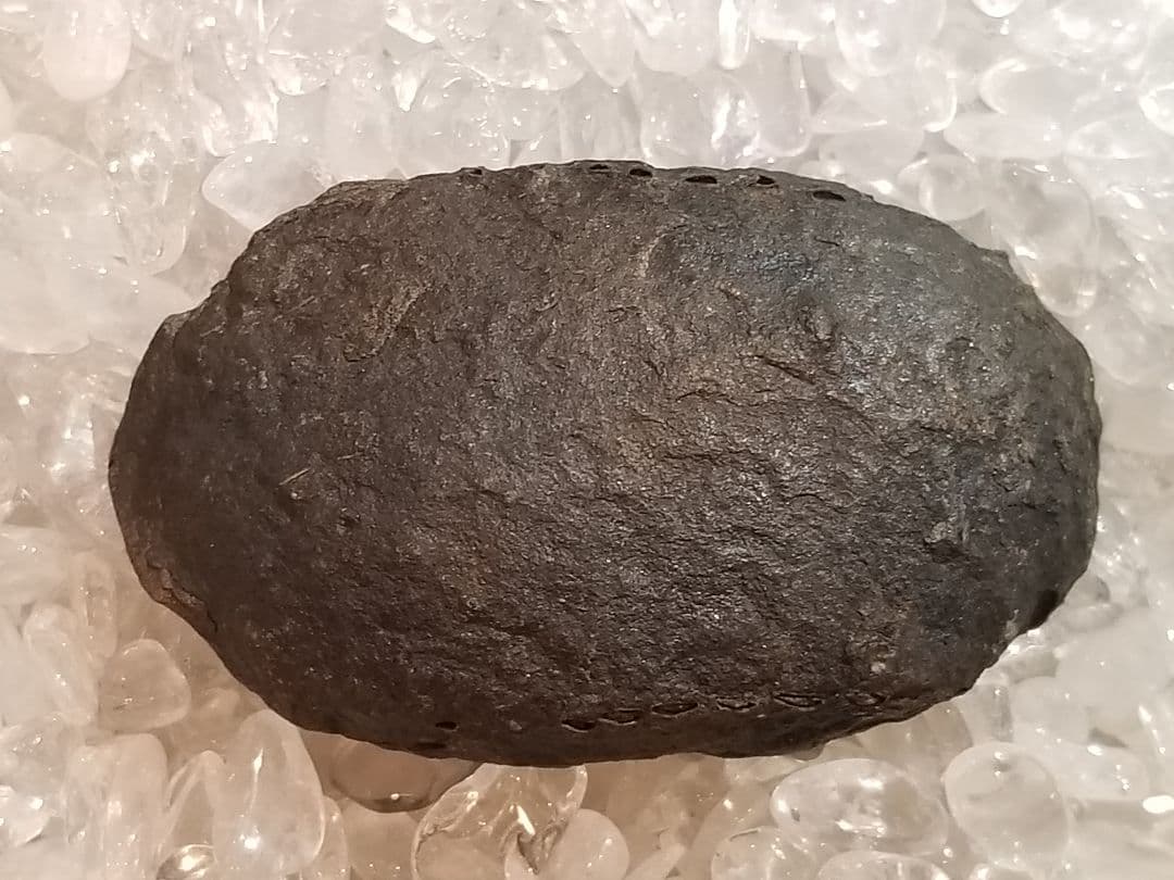 【自由研究にイチオシ！】 三葉虫 〜カンブリア紀〜 『結晶化された化石』