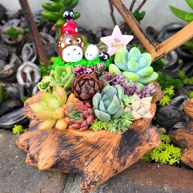 ★多肉植物　寄せ植え〜どんぐりちゃんの切り株寄せ　セットで〜★
