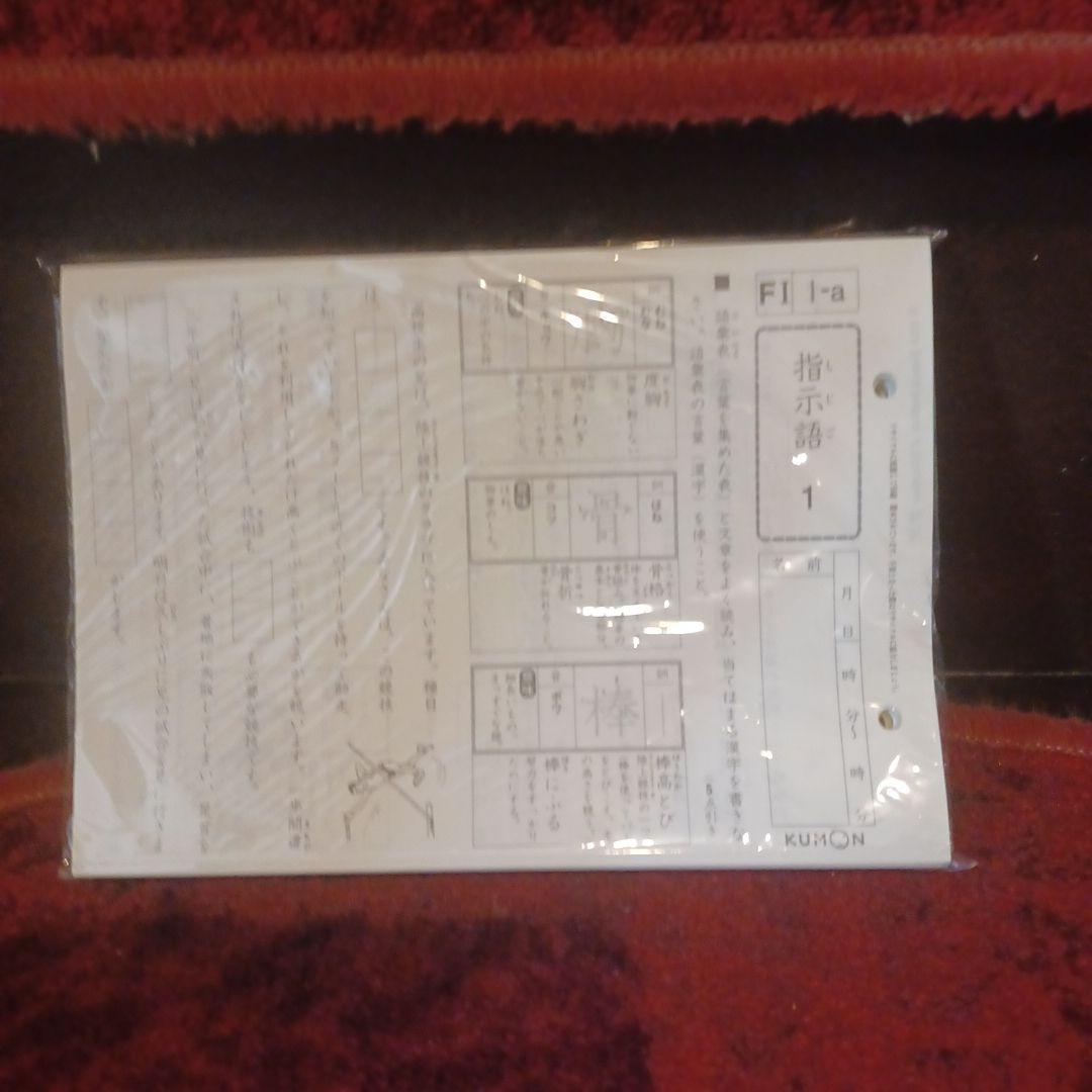 未記入　国語　F1FⅡ　400枚　解答つき