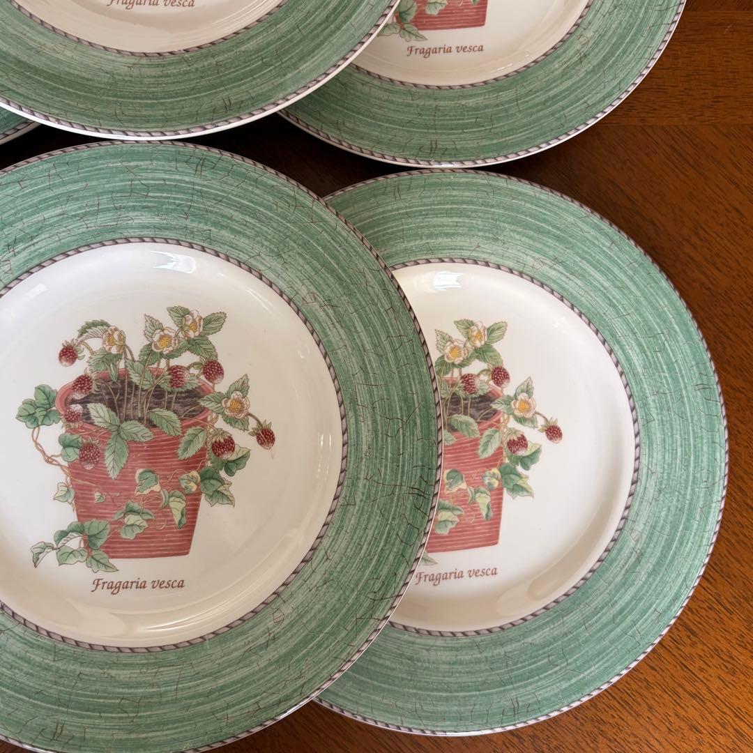 【美品】英国製　ウェッジウッド★サラズガーデン★グリーンデザート皿　6枚