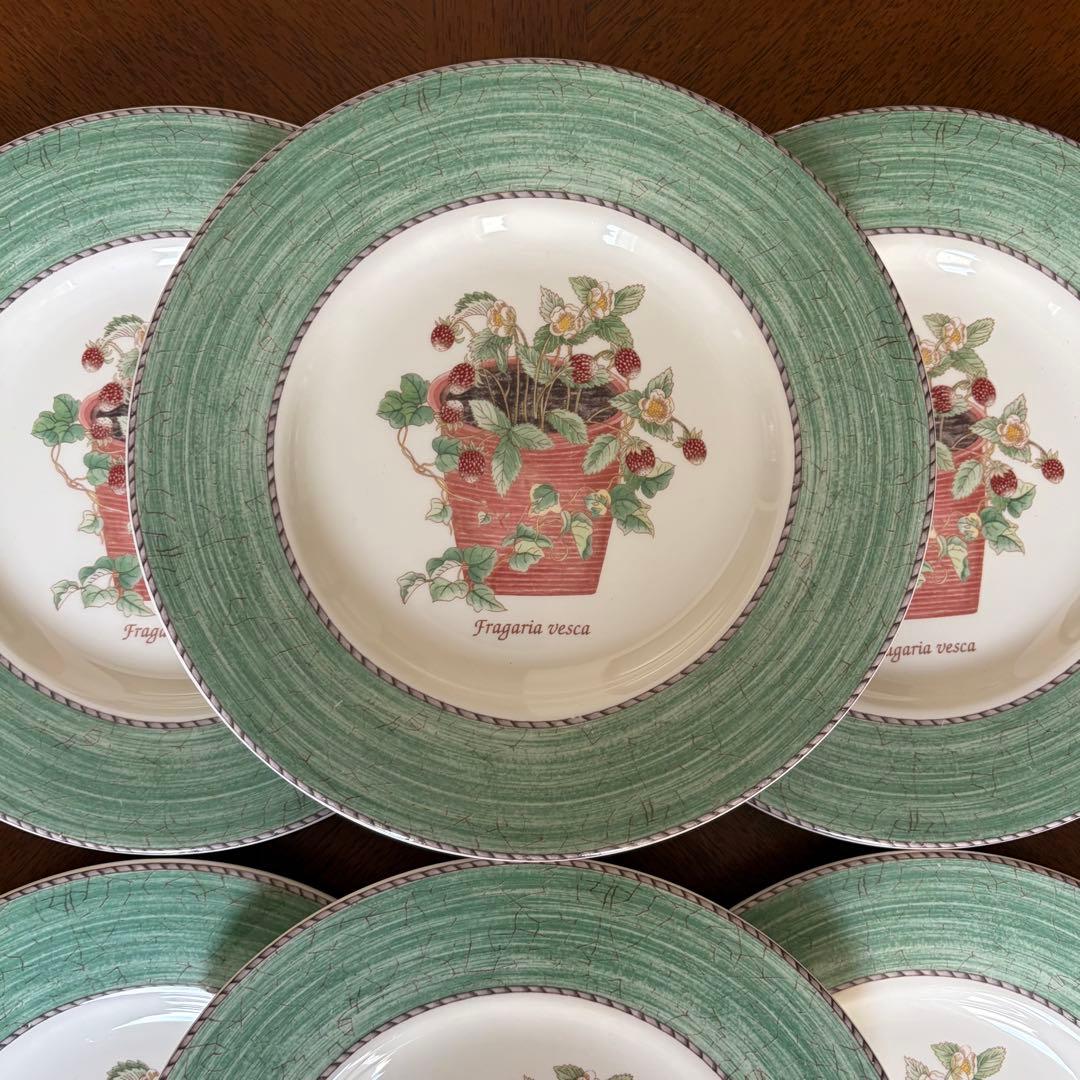 【美品】英国製　ウェッジウッド★サラズガーデン★グリーンデザート皿　6枚