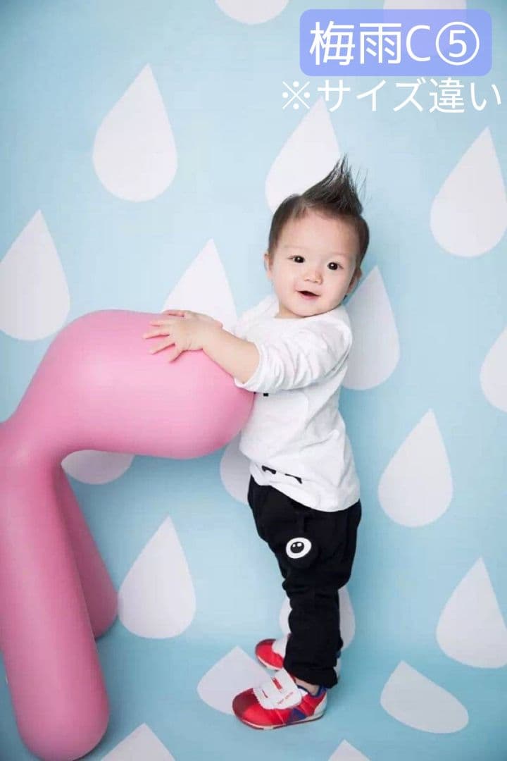 背景布×5+1　ペット撮影用フォトブース　トリミングチョーカー販売中　薔薇　梅雨